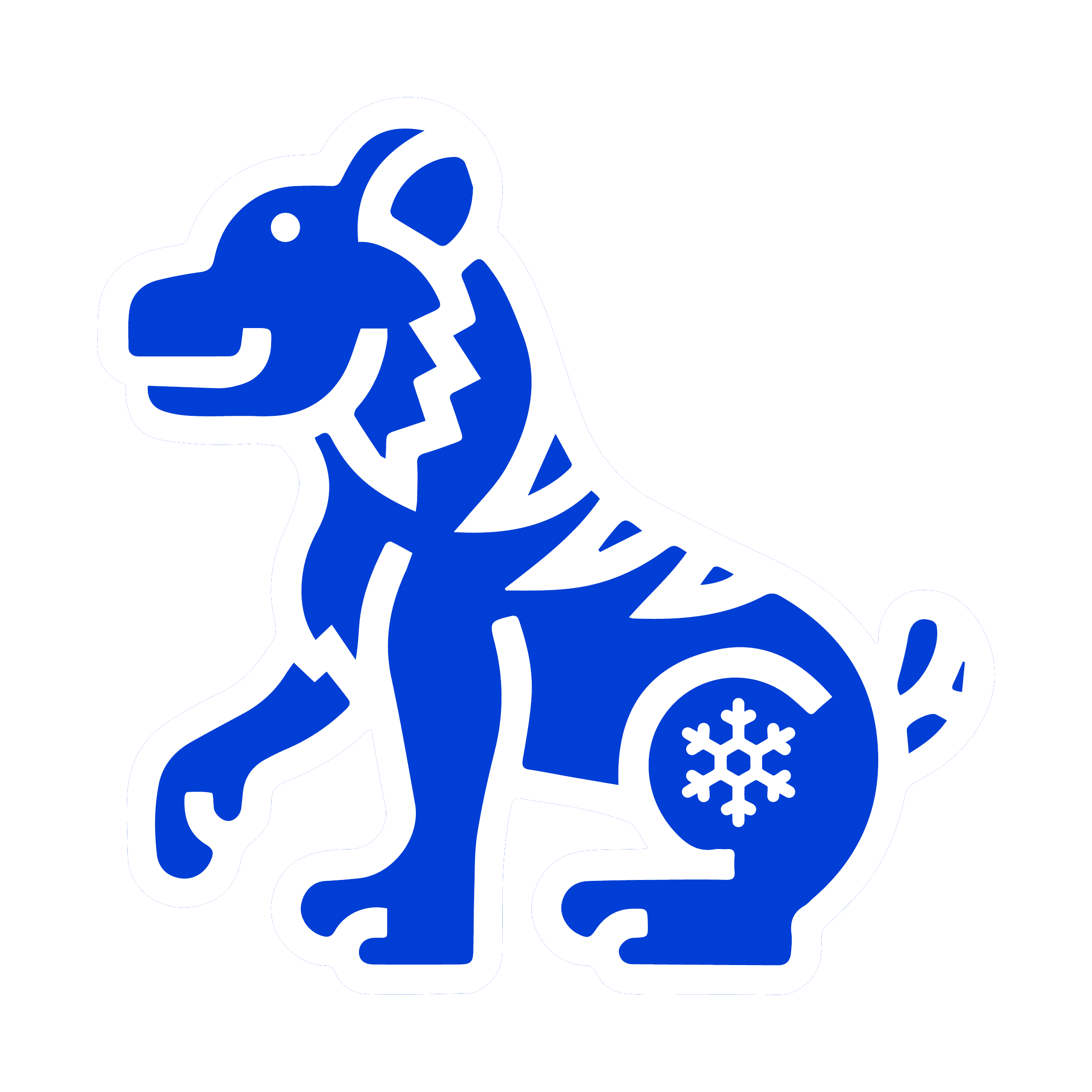 Black Snow Holdings logo